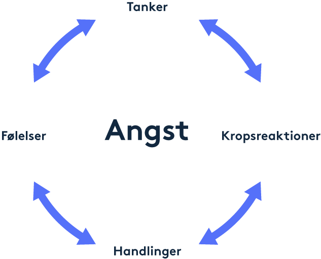 tanddk Tandlaegeskraek Angst